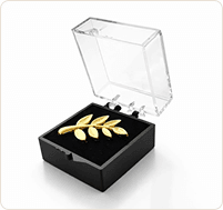 Pin's avec boite de présentation